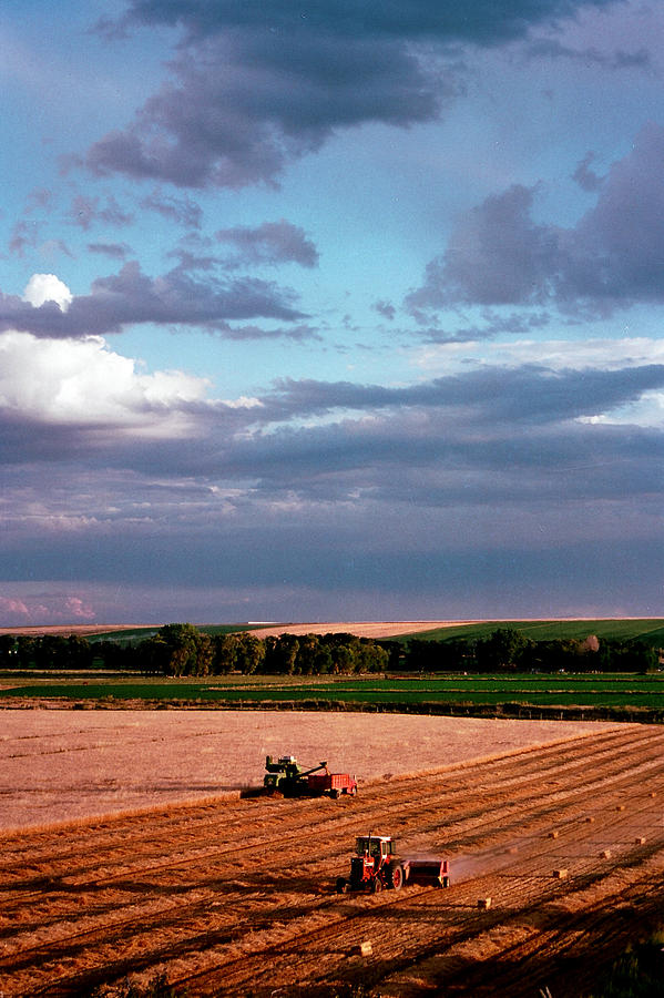Wheat Harvest Photograph - Sky over Harvest by Jim Cotton Wheat Harvest Photograph - Sky over Harvest by Jim Cotton