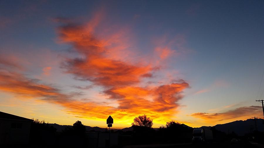 Sky Phoenix Photograph by Trisha Howell - Fine Art America