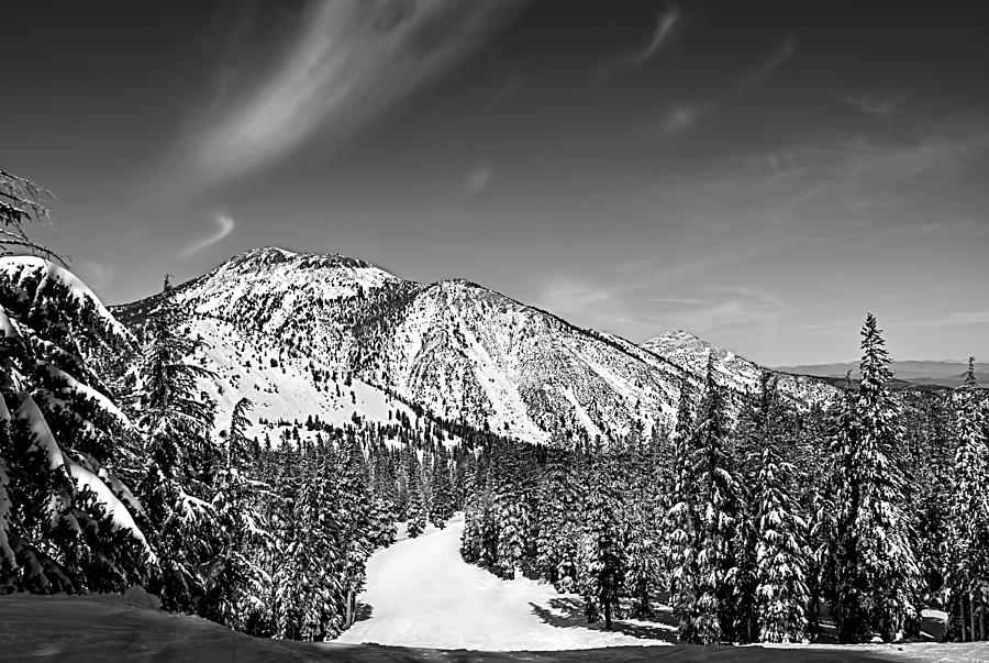 Ski Run Photograph by Maria Coulson