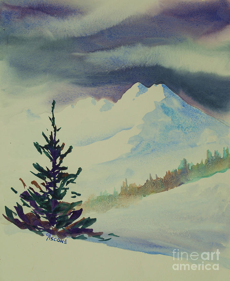 Sky Shadows and Spruce Painting by Teresa Ascone