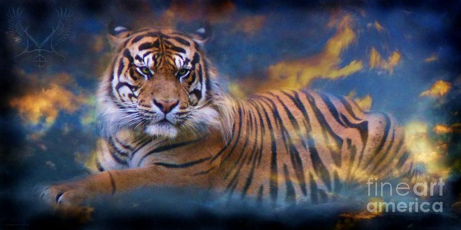 H Sky Tiger Photograph by Dale Crum