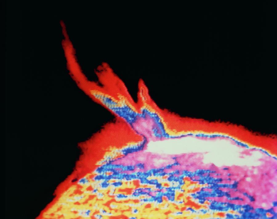Ultraviolet Astronomy Photograph - Skylab Ultraviolet Image Of A Solar Prominence by Nasa/science Photo Library