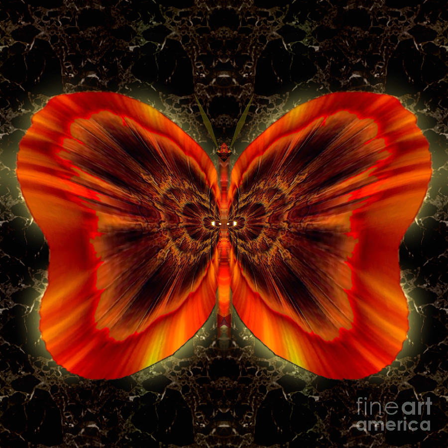 Butterfly Digital Art - Skylark Copperspirit by Raymel Garcia