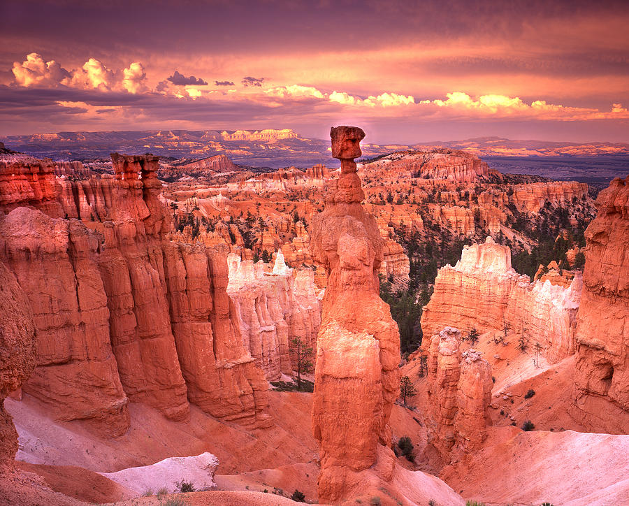 Skylight over Bryce Photograph by Ray Mathis