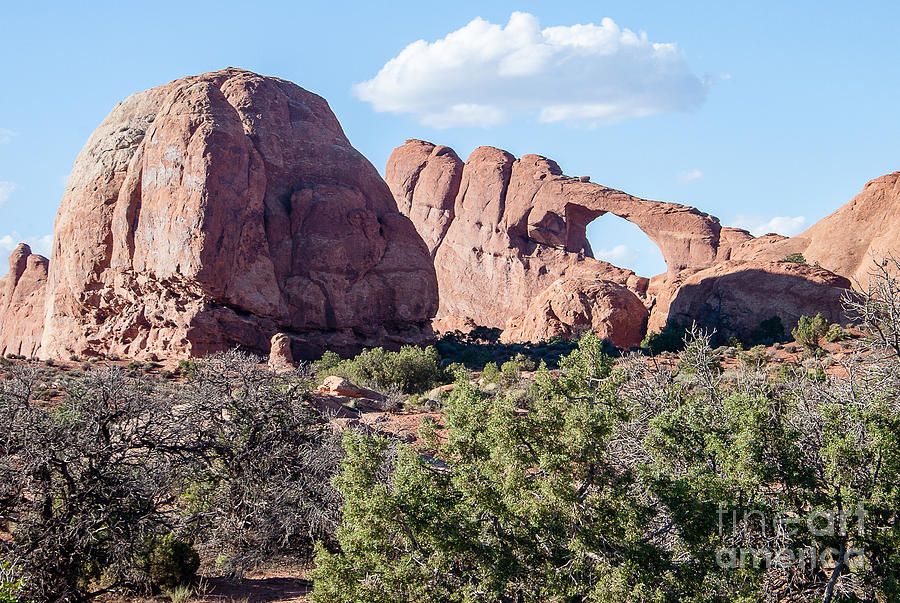 Arches National Park Photograph - Skyline Arch 2138 by Stephen Parker