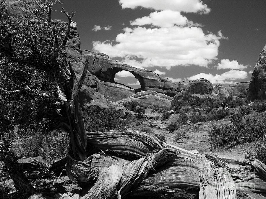 Skyline Arch BW Photograph by Mel Steinhauer - Fine Art America