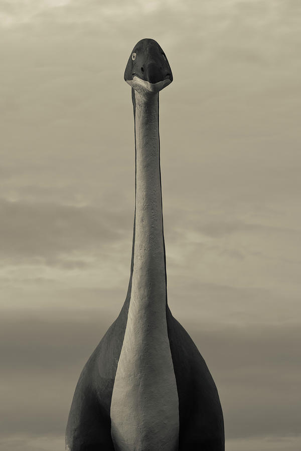 Dinosaur Photograph - Skyline Drive Dinosaur Statue At Dawn by Panoramic Images