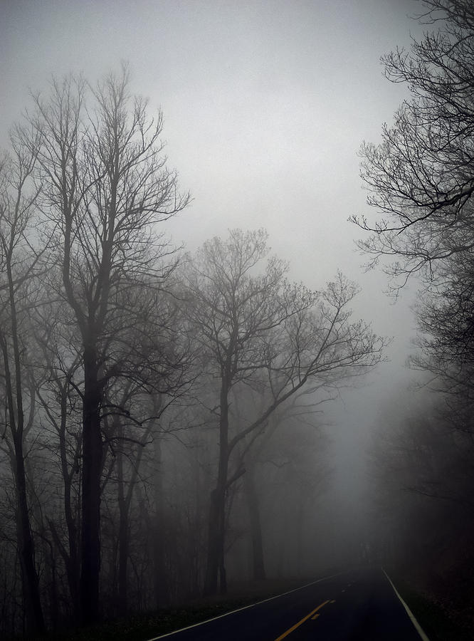 Skyline Drive In Fog Photograph
