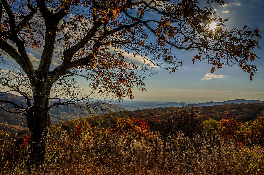 Fall Photograph - Skyline Drive by Pat Scanlon Fall Photograph - Skyline Drive by Pat Scanlon