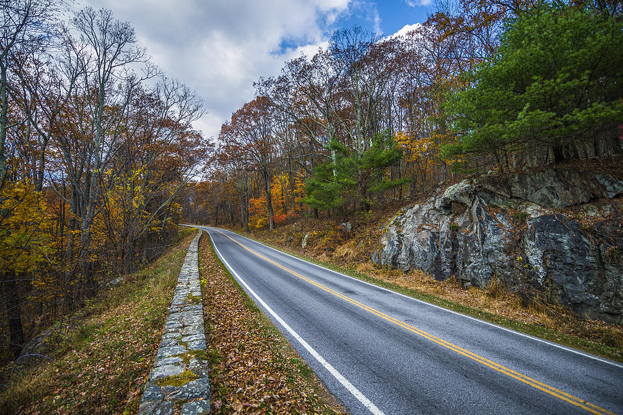 Skyline Drive Photograph by Tarequl Hassan - Fine Art America