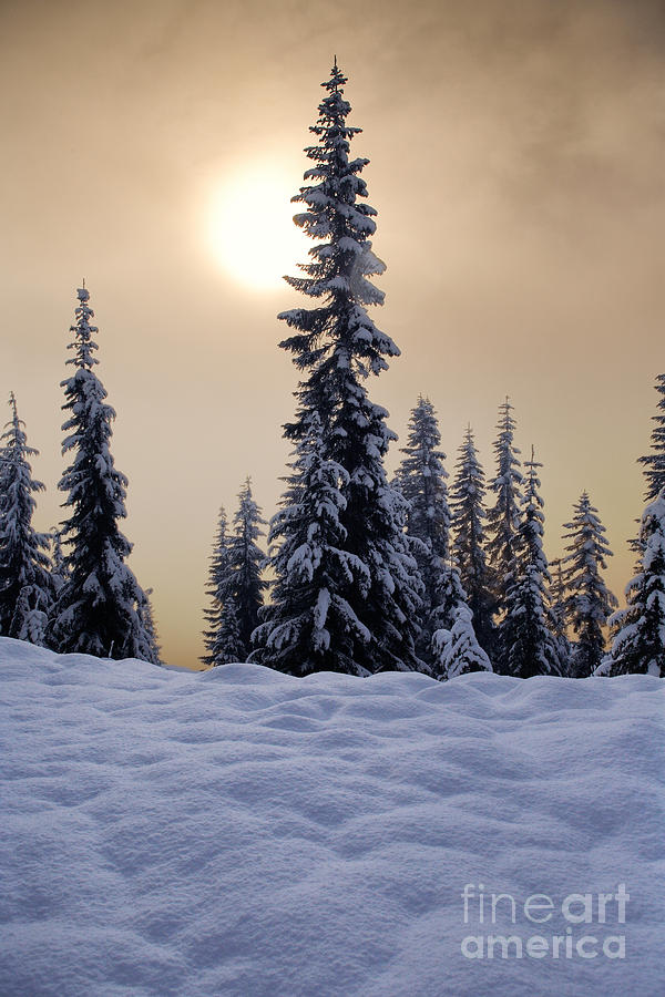 Skyline Lake Winter Sun Photograph by Inge Johnsson
