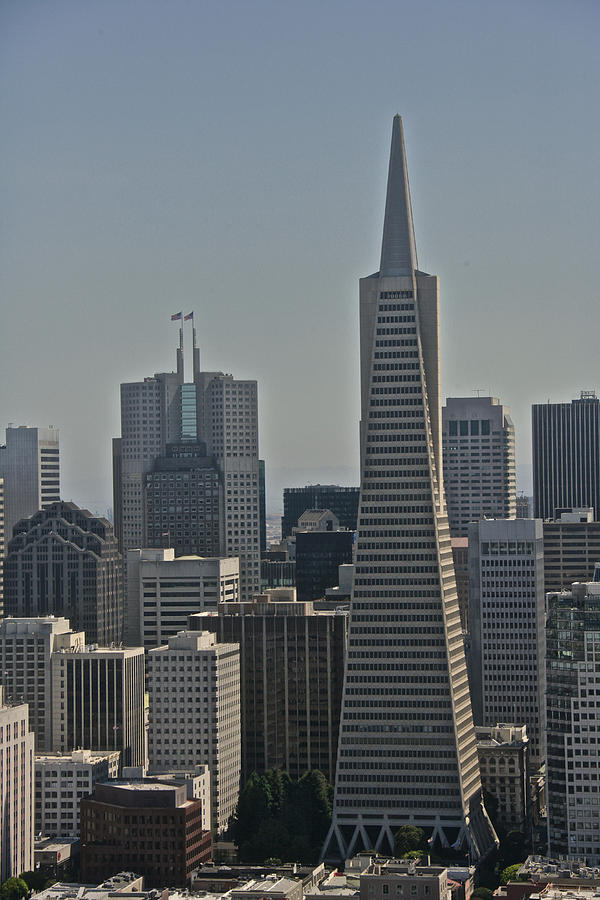 Skyline San Francisco Photograph by Steven Lapkin