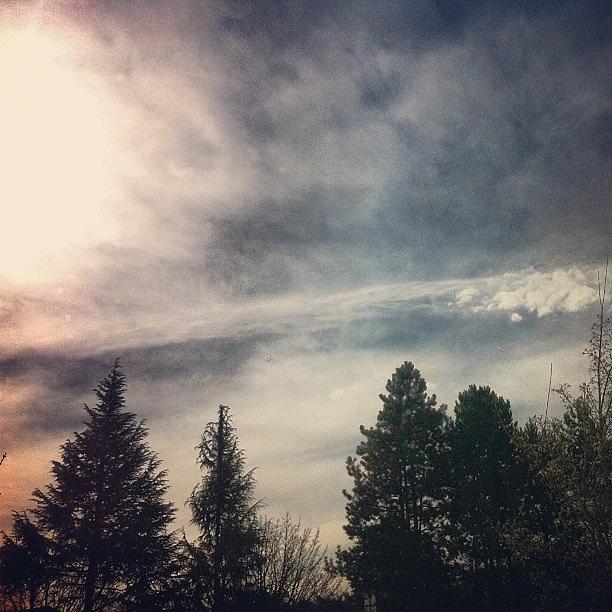 Spring Photograph - #skyscape #chemtrails #skyporn by Karen Clarke