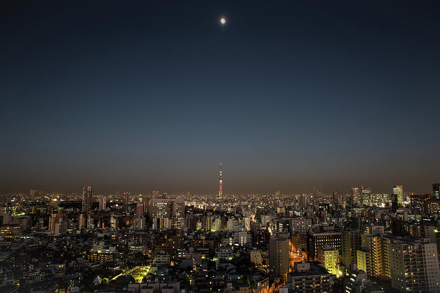 Skytree At Moonlight Photograph by Benoist Sebire