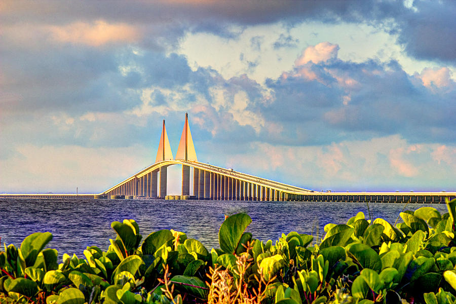 Skyway Bridge In Tampa Bay Photograph by Zane Kuhle