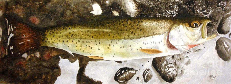 Trout Painting - Slab on the Rocks by Jbs Water on Cotton Trout Painting - Slab on the Rocks by Jbs Water on Cotton
