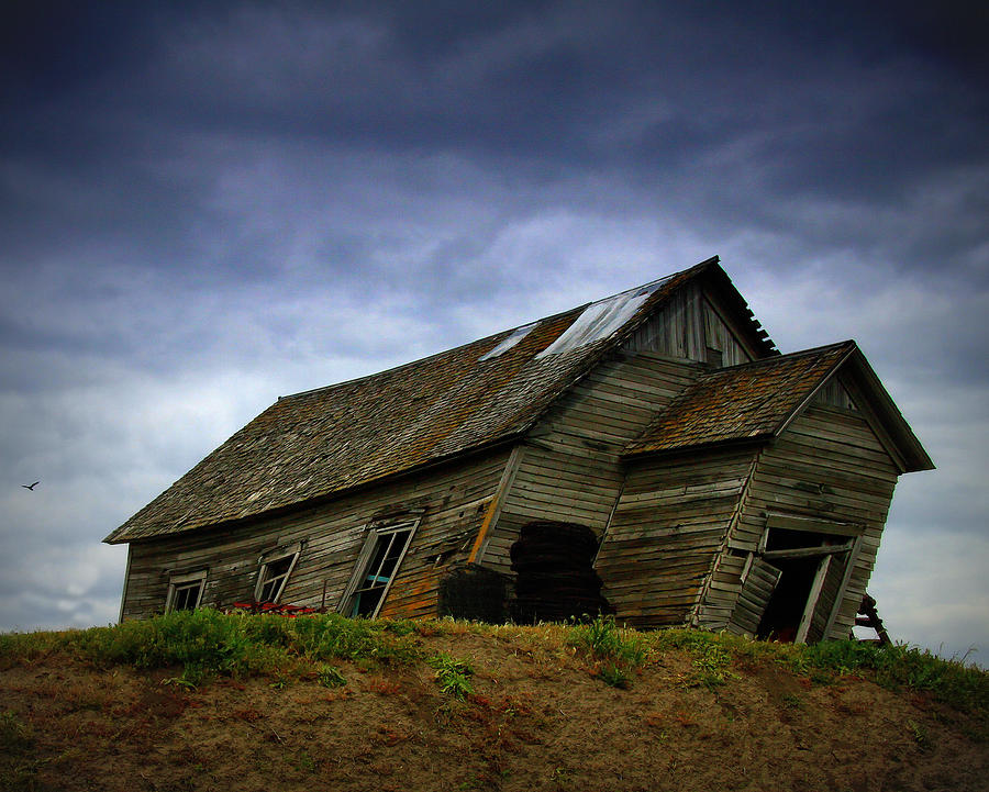 Slanted View Photograph by Harriet Schneider