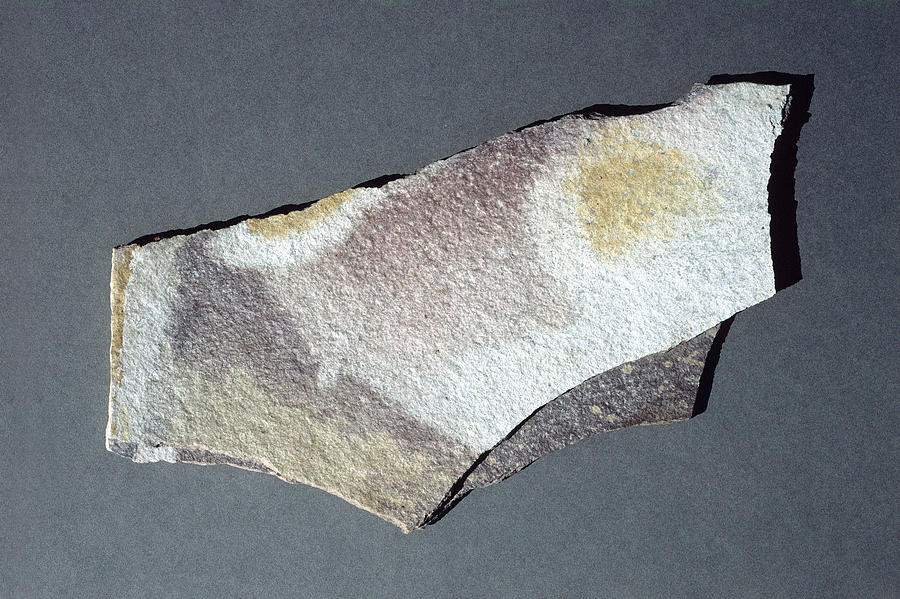 Slate, A Metamorphic Rock Photograph by A.b. Joyce