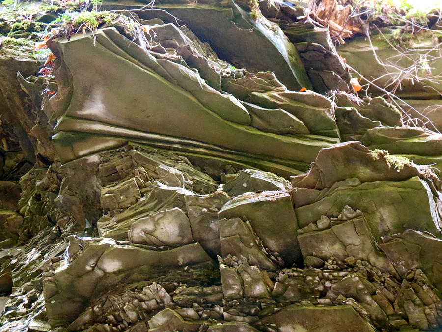 Slate Skin Photograph by Azthet Photography Slate Skin Photograph by Azthet Photography