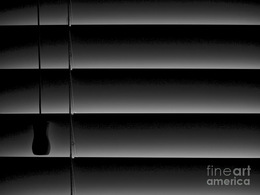 Abstract Photograph - Slats and Strings by Mark Miller