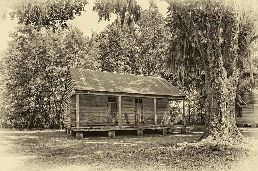 Slave Quarters 3 sepia Photograph by Steve Harrington - Fine Art America