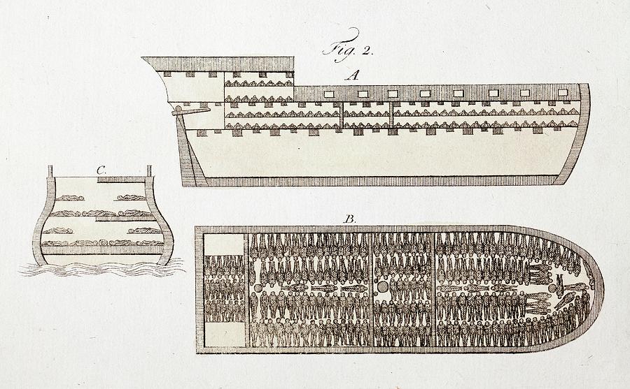 Slave Ship Diagrams Photograph by Paul D Stewart/science Photo Library