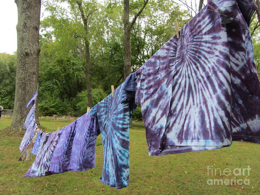  Dry Your Dyes On The Wind #1 Photograph by Susan Carella