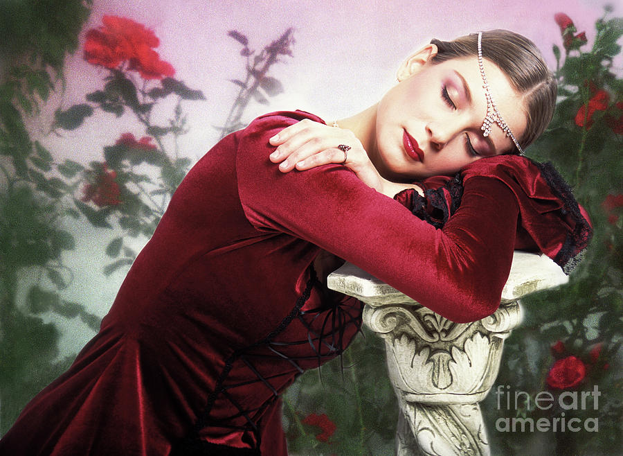 Rose Photograph - Sleeping Beauty 2 by Renata Ratajczyk