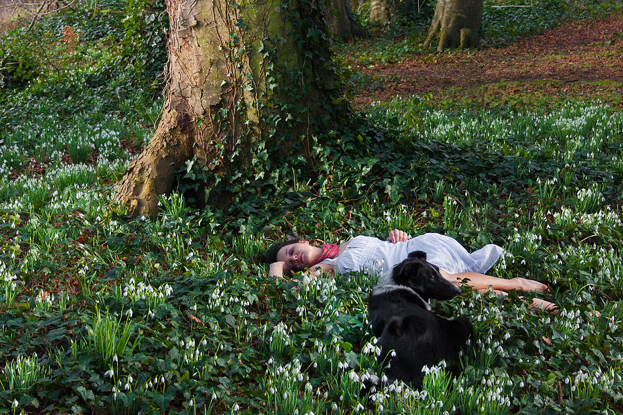 Sleeping Beauty and Friend Photograph by Semmick Photo