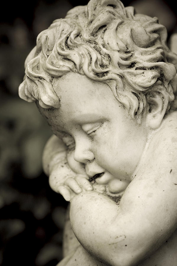 Sleeping cherub Photograph by Maria Heyens