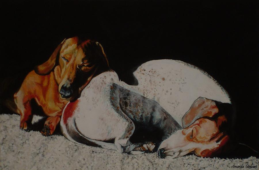 Acrlyic Painting - Sleeping Dachshunds Dogs by Amanda Hukill