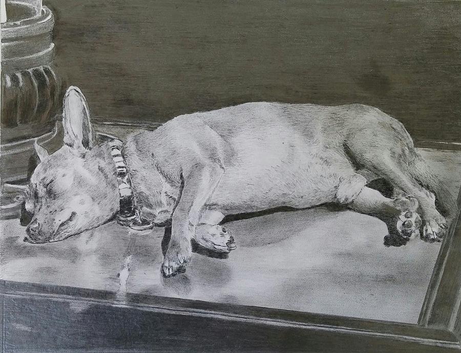 Sleeping Dog #1 Drawing