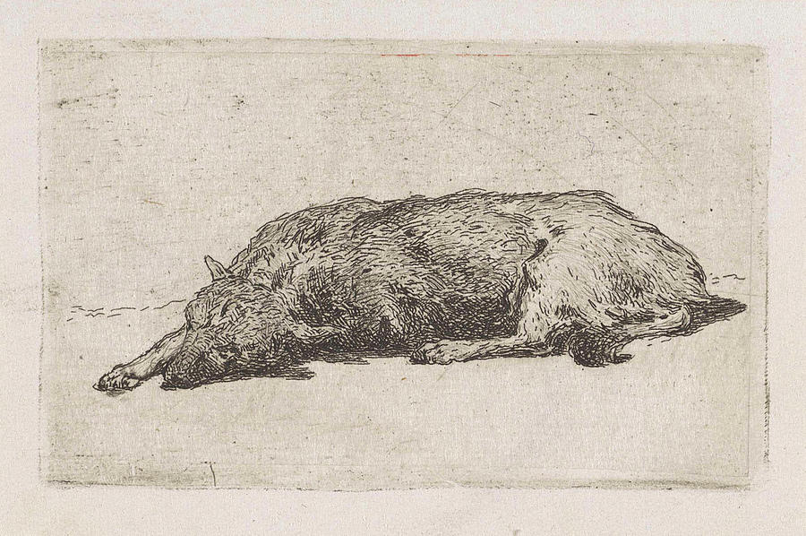 Dog Drawing - Sleeping Dog, Jan Weissenbruch by Artokoloro