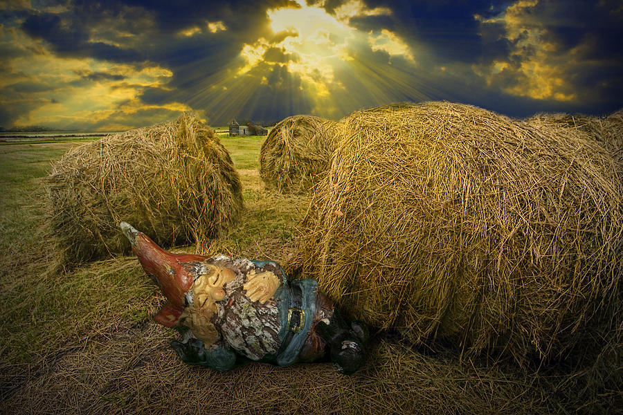 Sleeping Garden Gnome at Sunrise Photograph by Randall Nyhof