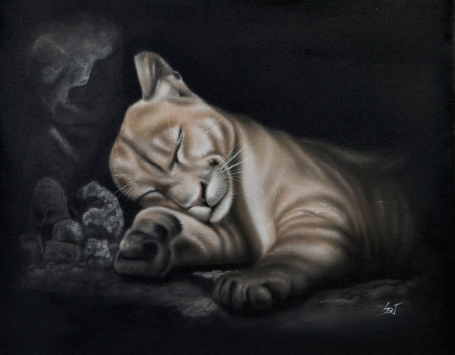 Sleeping Lion Painting by Sam Davis Johnson