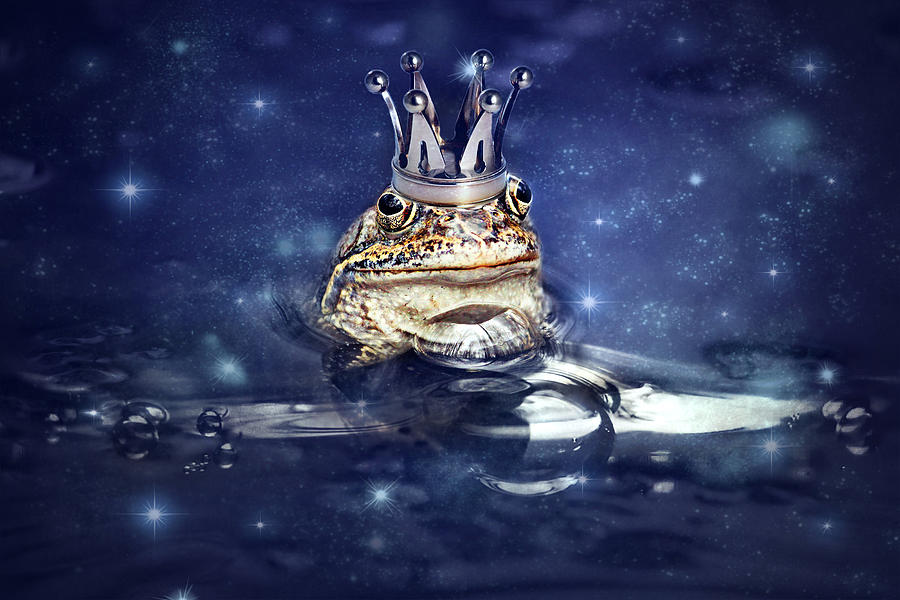 Frog Photograph - Sleepless Frog Prince by Heike Hultsch
