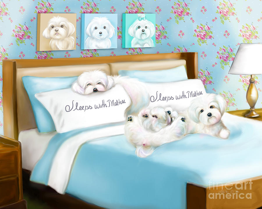 Sleeps with Maltese Painting by Catia Lee