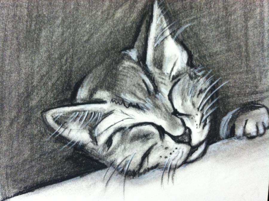 Sleepy Cat Drawing by Hae Kim