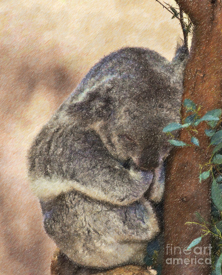 Sleepy Koala Digital Art by Liz Leyden