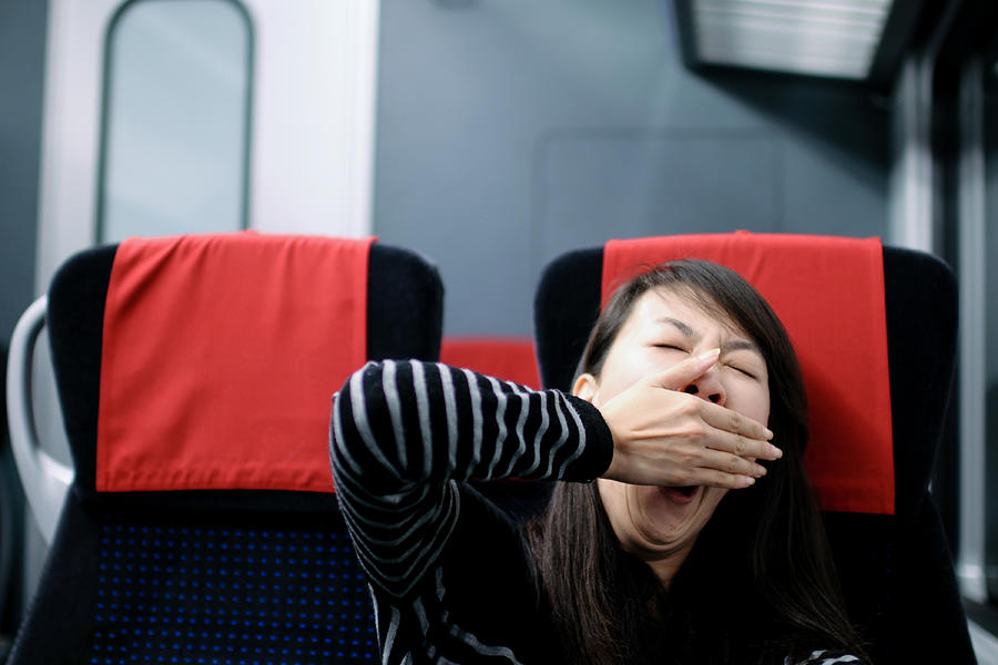 Sleepy Passenger - XLarge Photograph by PhotoTalk