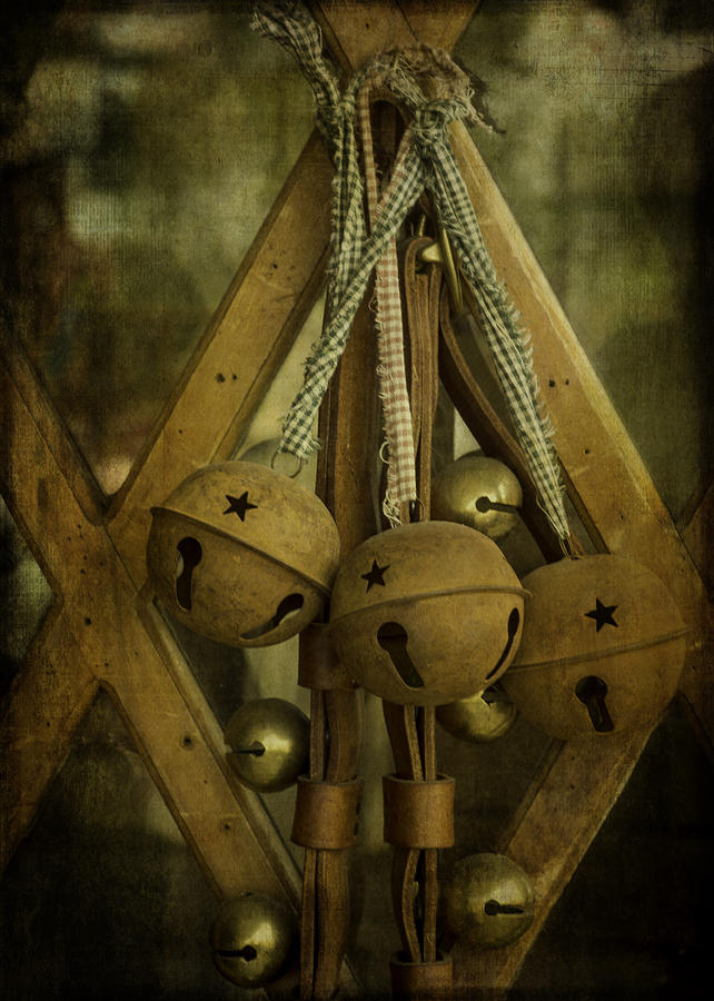 Sleigh Bells Photograph by Wayne Meyer