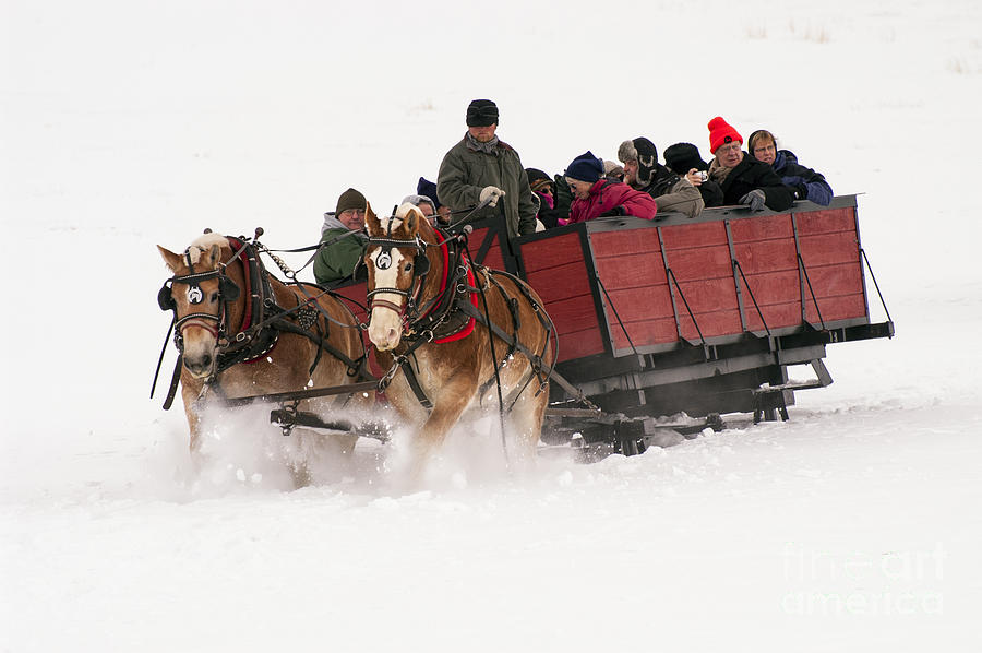 Sleigh Ride Photograph by Bob Phillips