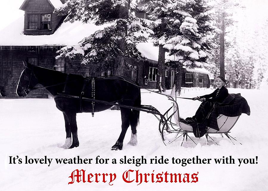 Sleigh Ride Christmas Greeting Card Photograph by Communique Cards