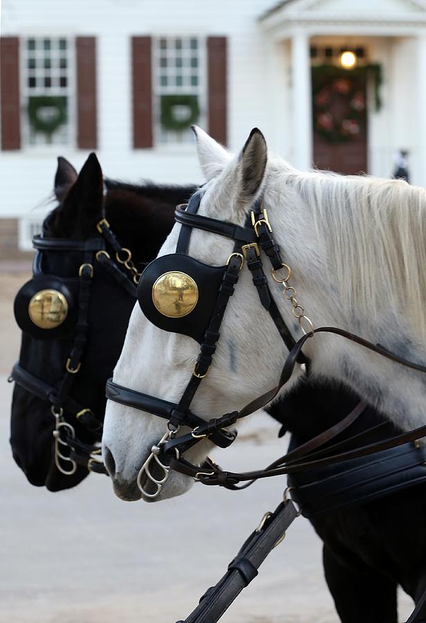 Christmas Photograph - Sleigh Ride by Pete Federico Christmas Photograph - Sleigh Ride by Pete Federico