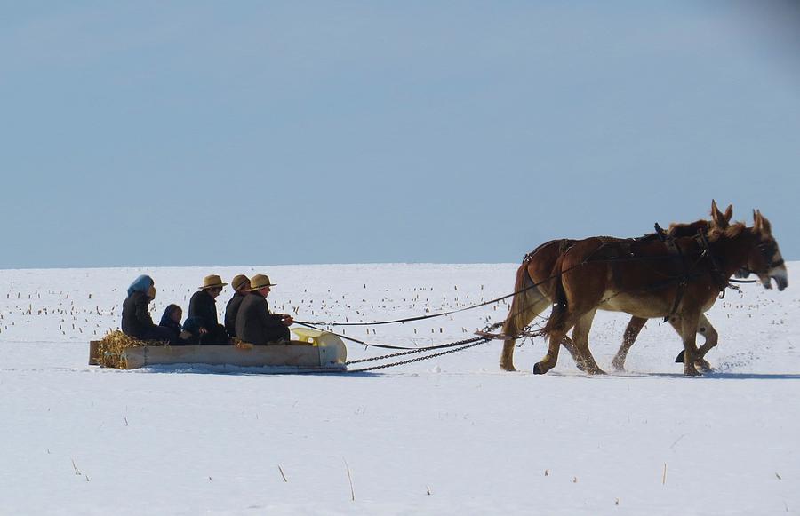 Sleigh Ride thru the Field Photograph by Jeanette Oberholtzer