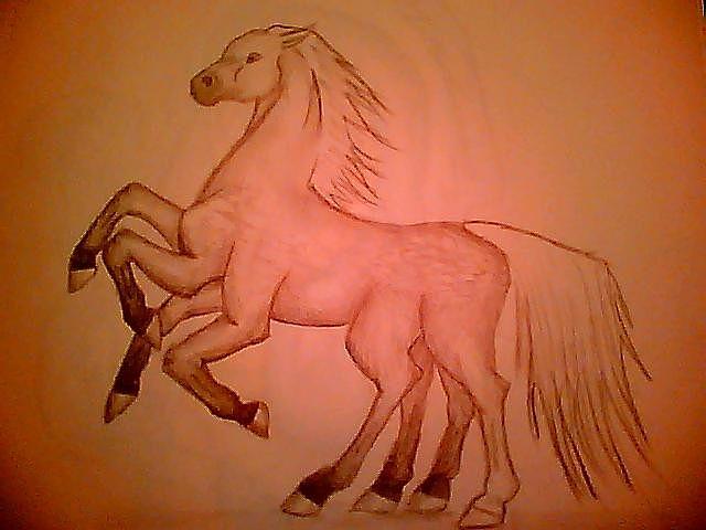 Sleipnir Drawing by Chelsea Hawes | Fine Art America