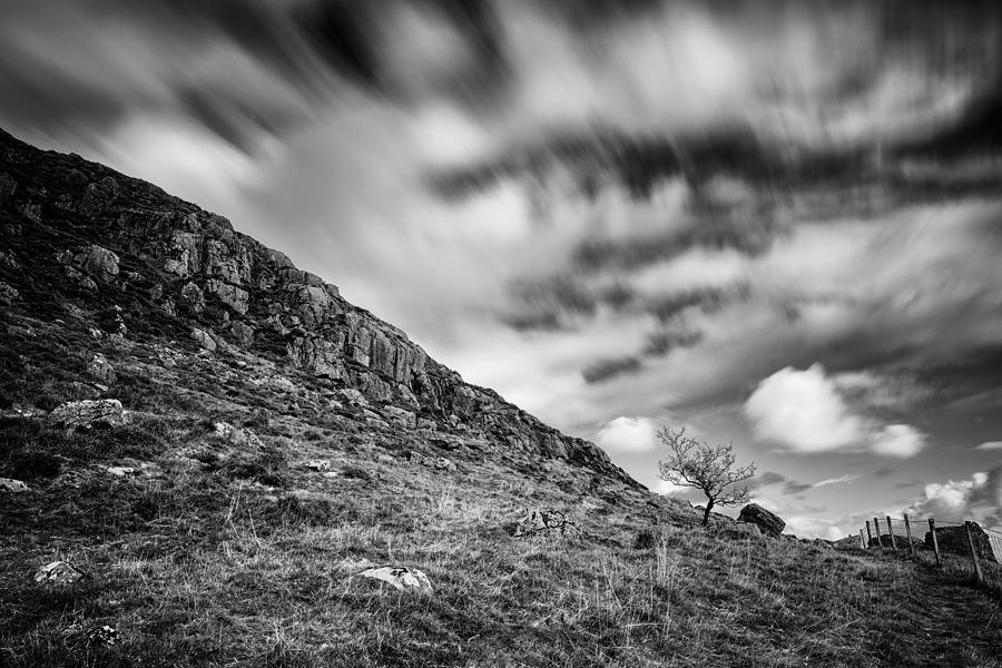 Slemish Tree Photograph by Nigel R Bell