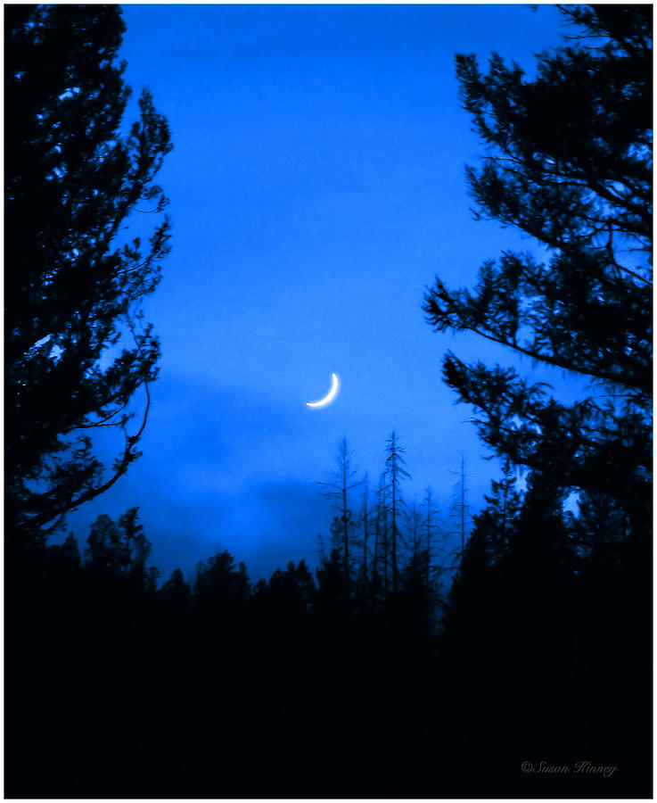 Slice of Moon Photograph by Susan Kinney