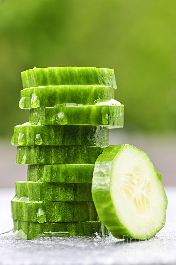 Vegetable Photograph - Sliced green cucumber by Elena Elisseeva