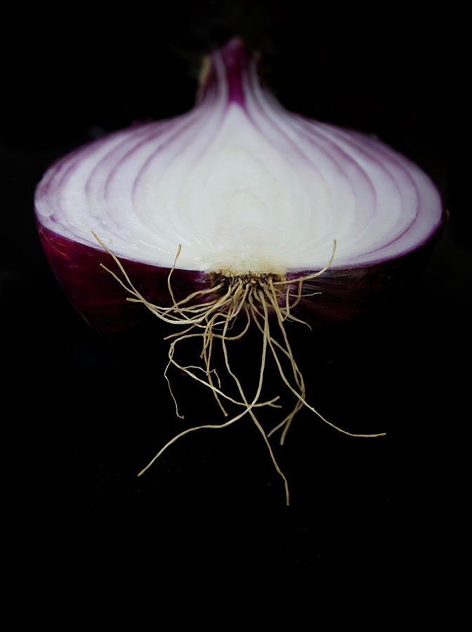 Sliced Red Onion On A Black Background Photograph by Gregory Adams